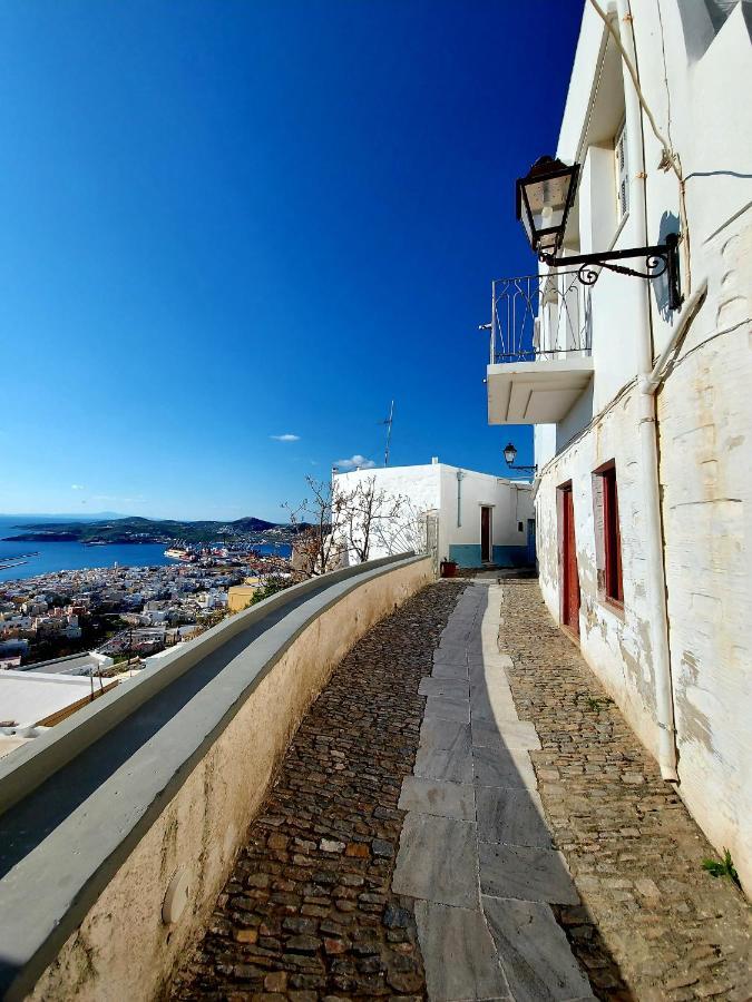 Le Petit Chateau Ano Syros Bagian luar foto
